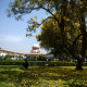 SC agrees to examine Telangana issue, notice to Centre