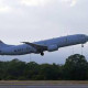 Signals 'consistent' with those from black boxes detected