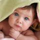 baby