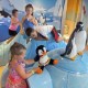 5 things to know on children's life insurance