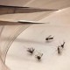 Time for protection against mosquitoes, diseases