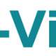 E-visa