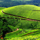 besttimetovisitooty