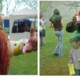 HOLI-web