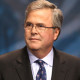 jeb-bush