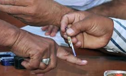 MCD polls: Voter awareness campaign gets celebrity quotient
