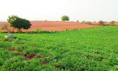 Farmers offer 33,000 acre land for Andhra capital Amravati