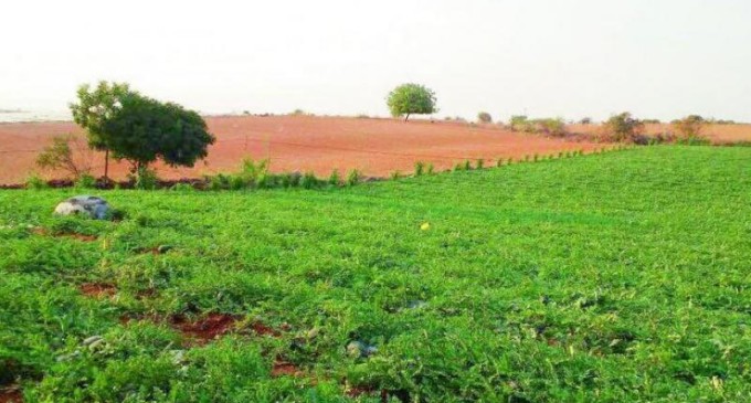 Farmers offer 33,000 acre land for Andhra capital Amravati