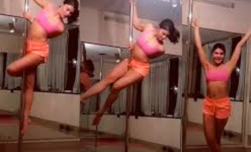 Pole dance skills