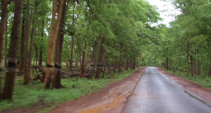 J&K to have 23 forest destinations