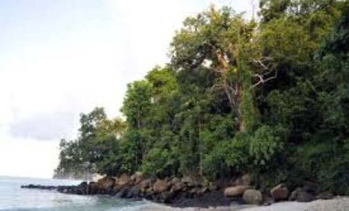 American tourist allegedly killed by isolated tribe in Andaman and Nicobar Islands