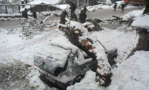 2 killed in J&K avalanche as rain, snowfall lash north India