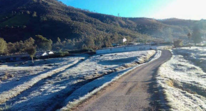 After floods, Munnar woos tourists with sub-zero temp