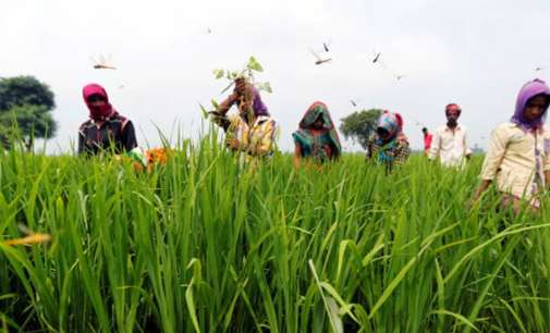 Agri credit may be hiked to Rs 12 lakh cr