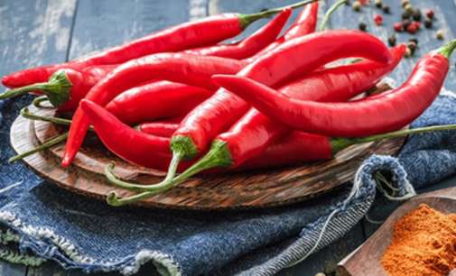 Chilli compound slows lung cancer progression: Study