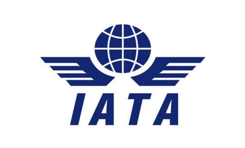 India’s domestic passenger market falls to 3.1% in March