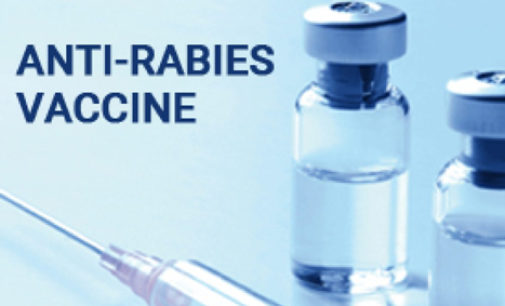 Pakistan dependent on India for anti-rabies, anti-venom vaccines: Report
