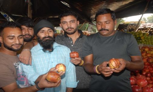 ‘Azadi’, ‘Burhan Wani’ written on apples from Kashmir; fruit sellers threaten boycott