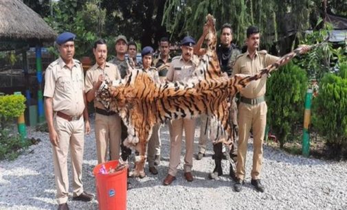 Bhutanese citizens arrested with Royal Bengal Tiger skin