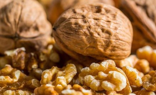 California walnut growers hope US-India trade deal will reduce tariffs