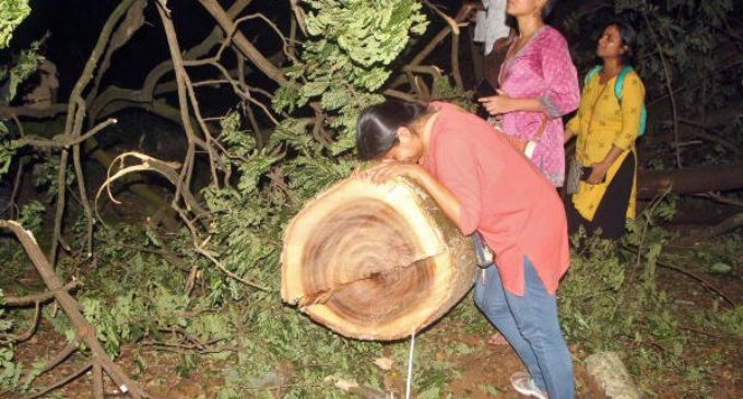 Aarey Verdict: Don’t cut any more trees says SC