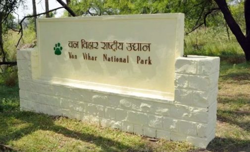 Oldest tigress in Bhopal’s Van Vihar national park dies