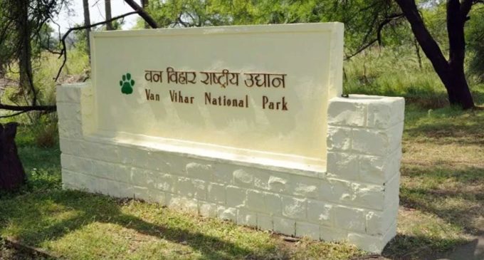 Oldest tigress in Bhopal’s Van Vihar national park dies