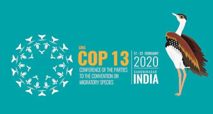 India gears up for UN summit on migratory species