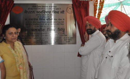 Rise above parochial considerations to celebrate Gurpurab: Punjab Health Minister