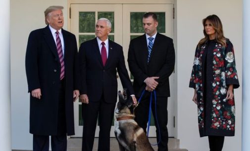 Dog that helped kill Al Baghdadi visits WH; meets Trump
