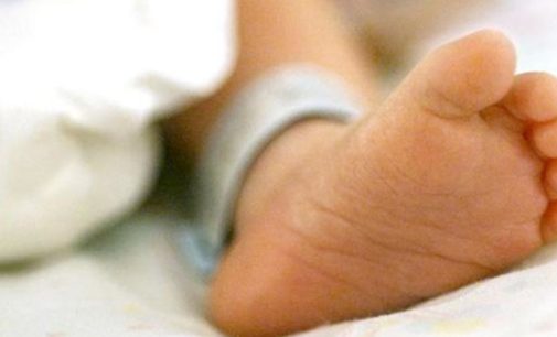 India-UK experts begin largest study on babies with brain injury in India