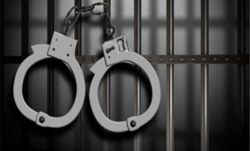 Indian couple with minor children arrested in Israel