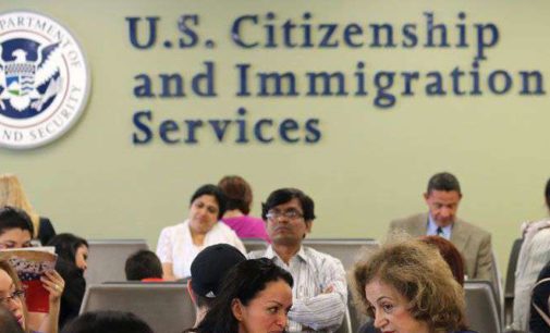 Over 227K Indians in US waiting for family-sponsored green card: Data