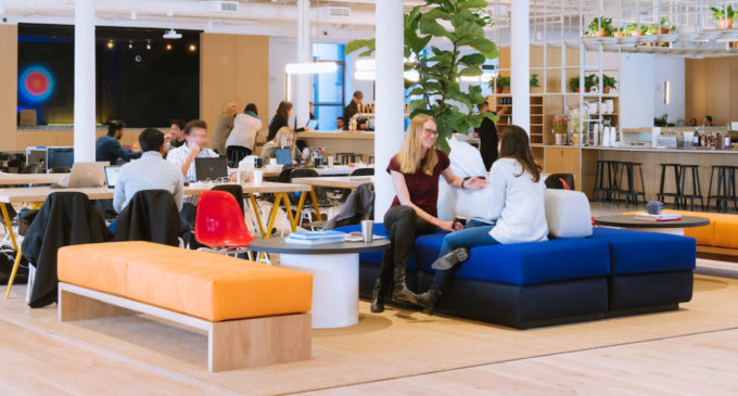 Despite free-flowing kombucha, WeWork tenants feel unease