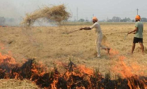 Farm fires, plunging temperature push Delhi-NCR’s pollution to severe category