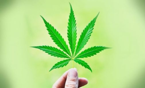 Brazil approves sale of marijuana-based medicines