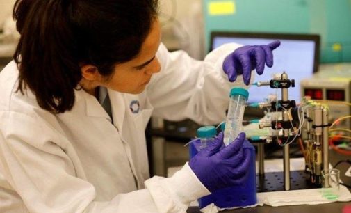 India is world’s third largest producer of scientific articles: Report