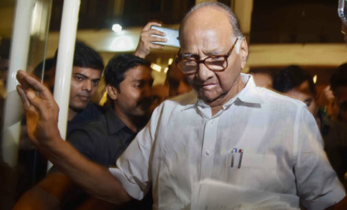 Will meet Goyal to get onion export ban revoked: Sharad Pawar