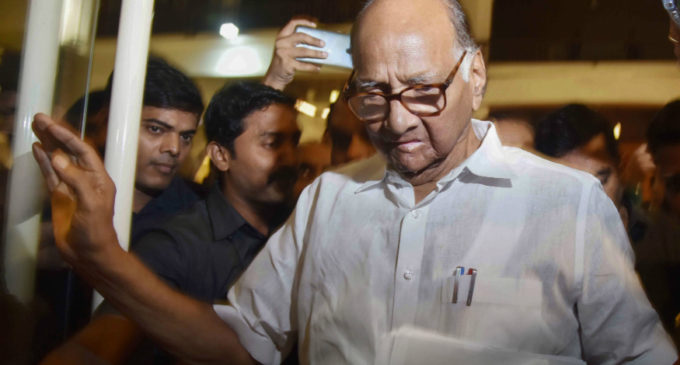 Will meet Goyal to get onion export ban revoked: Sharad Pawar
