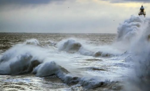 World’s oceans were the warmest in 2019: Study
