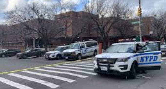 NY policemen shot in targeted attack