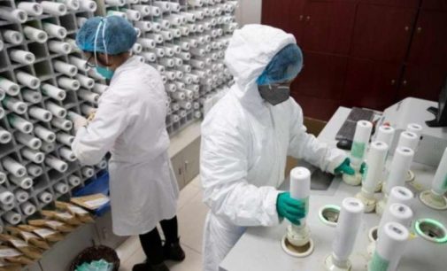 China reports no new domestic COVID-19 case for 2nd day
