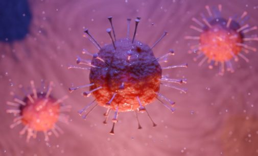 Anti-Covid consortium in India working on therapeutic antibodies