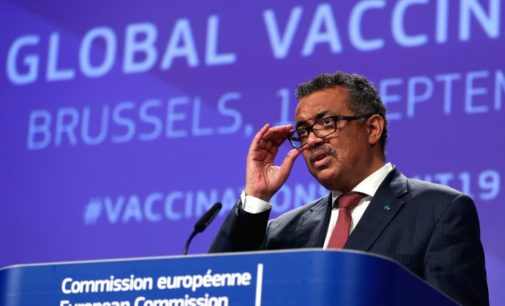 Don’t issue virus ‘immunity passports’: WHO