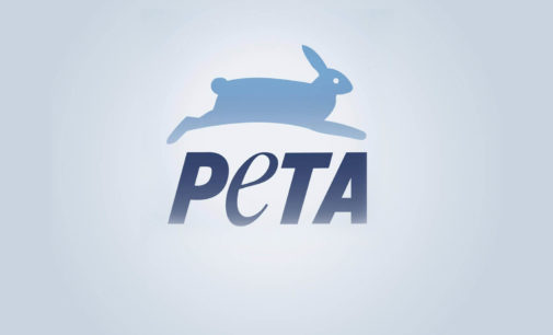 PETA creates jigsaw puzzle on animal-pandemic link