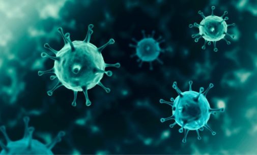 ‘Summers may ebb Covid-spread; BCG vaccine may offer partial immunity’