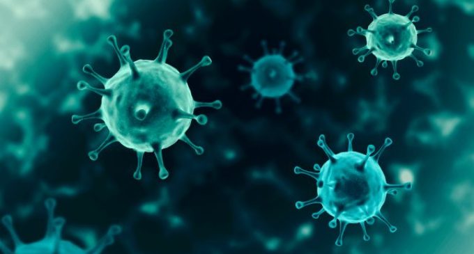 ‘Summers may ebb Covid-spread; BCG vaccine may offer partial immunity’