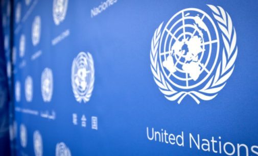 World economy will go into recession except in India & China: UN