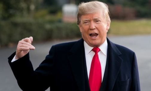 5 US lawmakers ask Trump to suspend new H-1B visas
