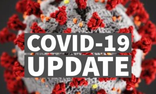 Covid-19’s Impact on the Developing World